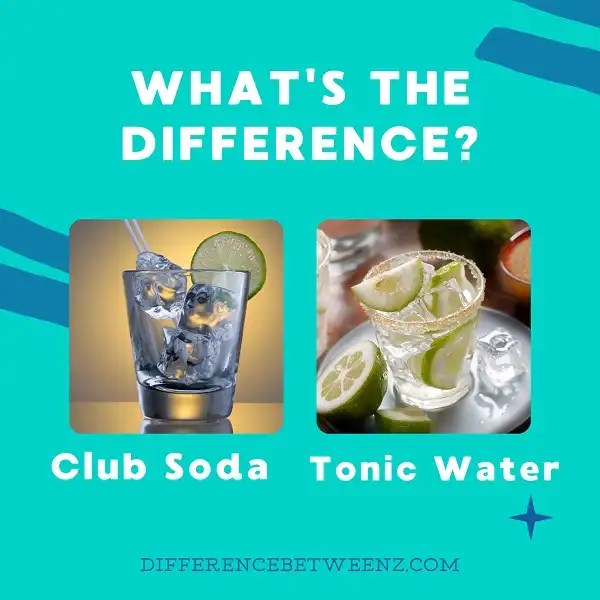 Difference between Club Soda and Tonic Water Difference Betweenz