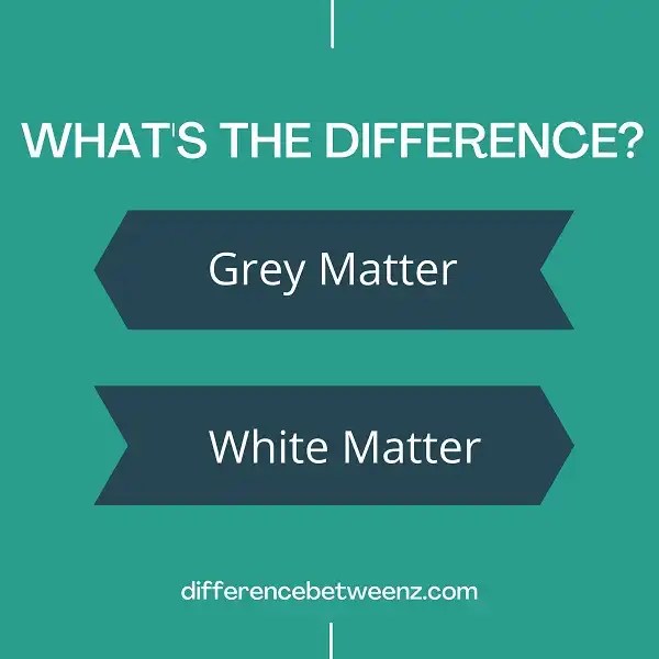 Difference between Grey and White Matter Difference Betweenz