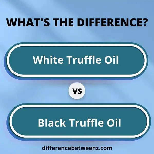 Difference between White and Black Truffle Oil Difference Betweenz
