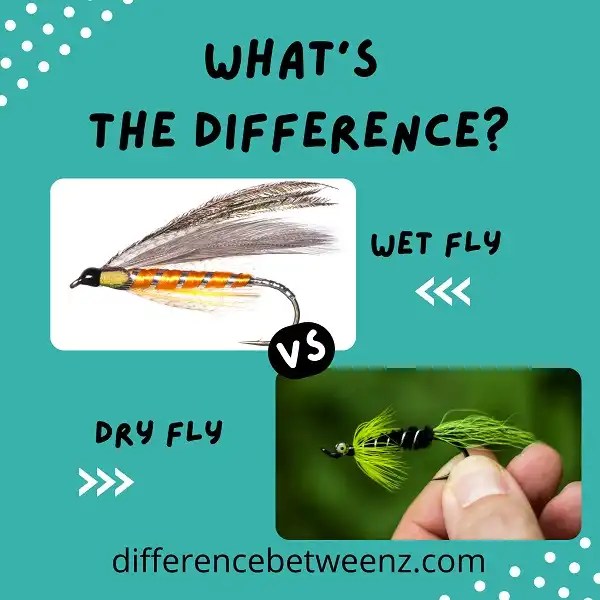 Difference between Wet and Dry Flies Difference Betweenz