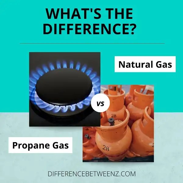 Difference between Natural Gas and Propane Difference Betweenz