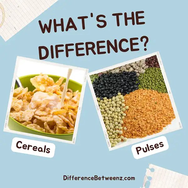 Difference between Cereals and Pulses Difference Betweenz