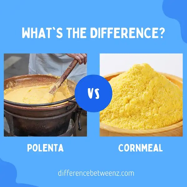Difference between Polenta and Cornmeal Difference Betweenz