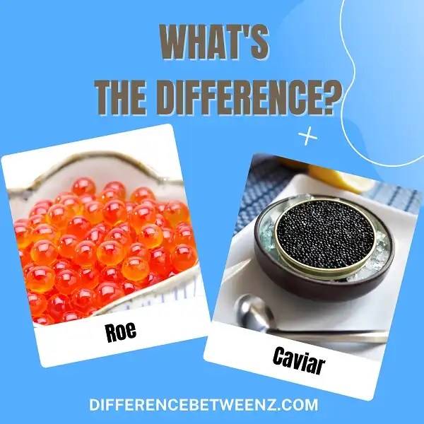 Difference between Roe and Caviar Difference Betweenz