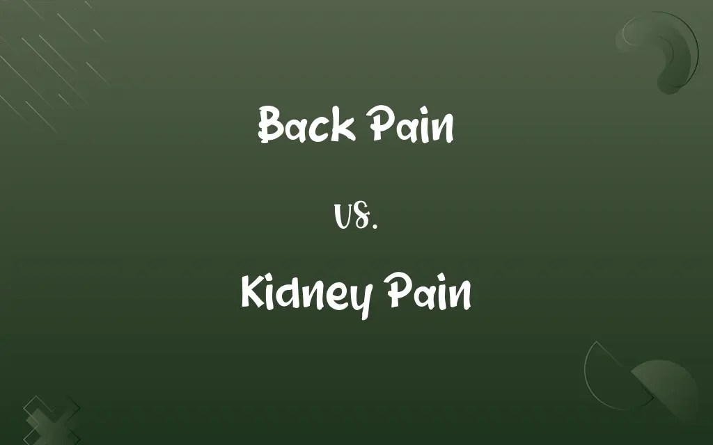 Back Pain vs. Kidney Pain Know the Difference