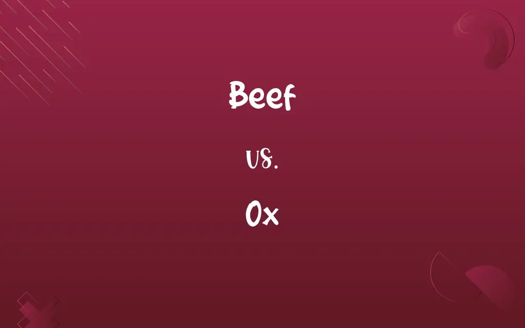 Beef vs. Ox Know the Difference
