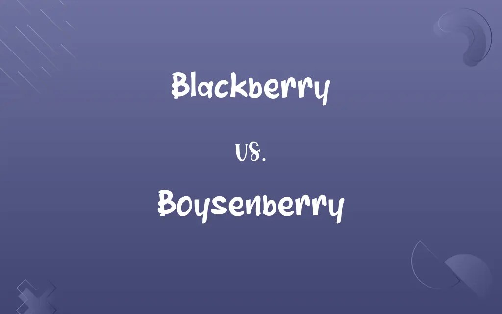 Blackberry vs. Boysenberry Know the Difference