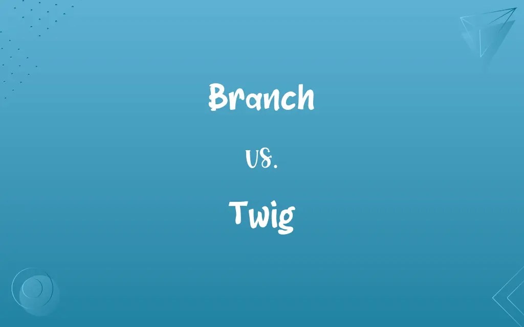 Branch vs. Twig Know the Difference