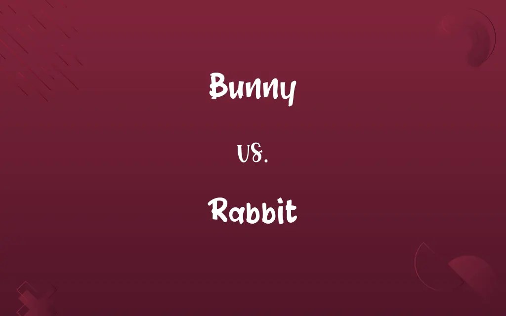 Bunny vs. Rabbit Know the Difference