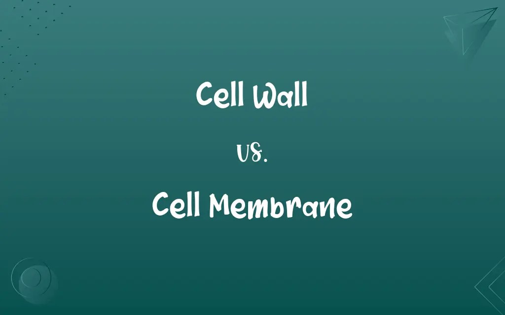 Cell Wall vs. Cell Membrane Know the Difference