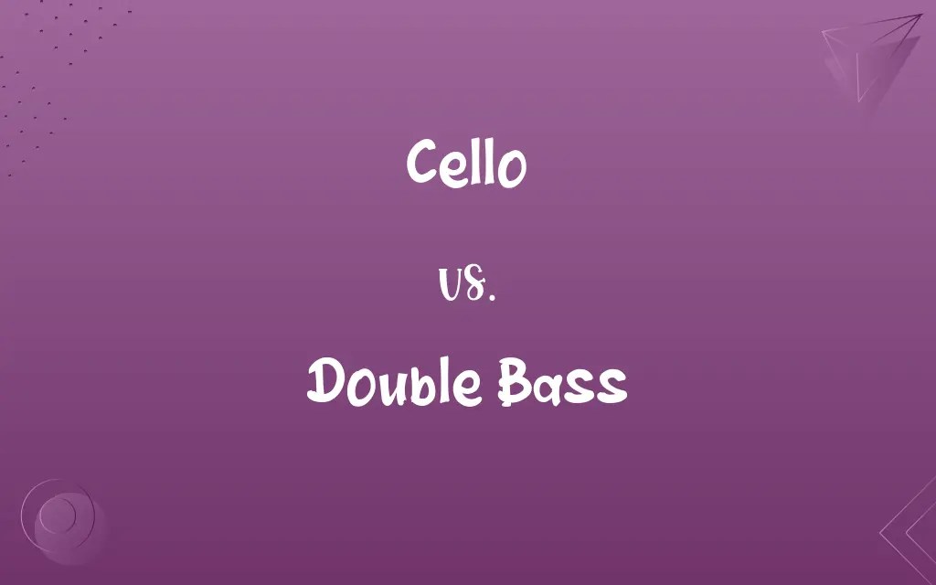 Cello vs. Double Bass Know the Difference
