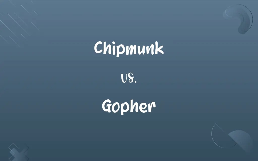 Chipmunk vs. Gopher Know the Difference