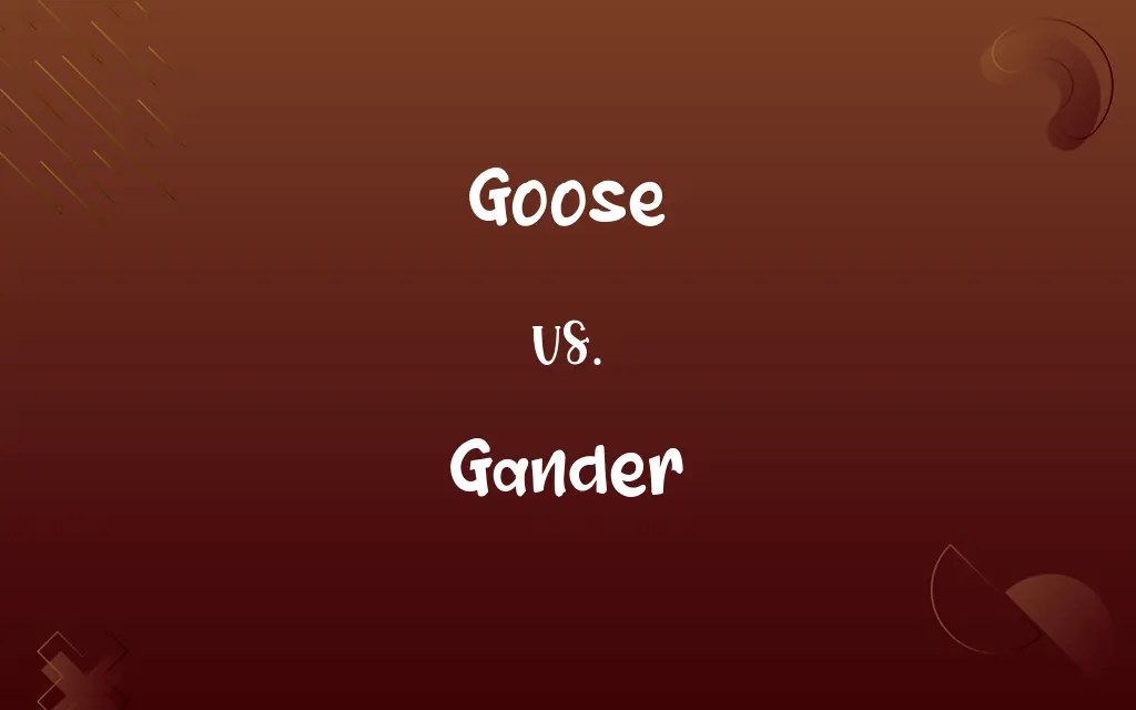 Goose vs. Gander Know the Difference