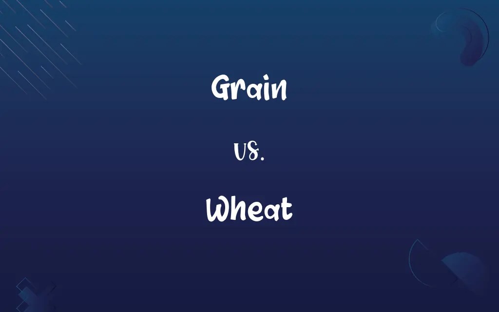 Grain vs. Wheat Know the Difference