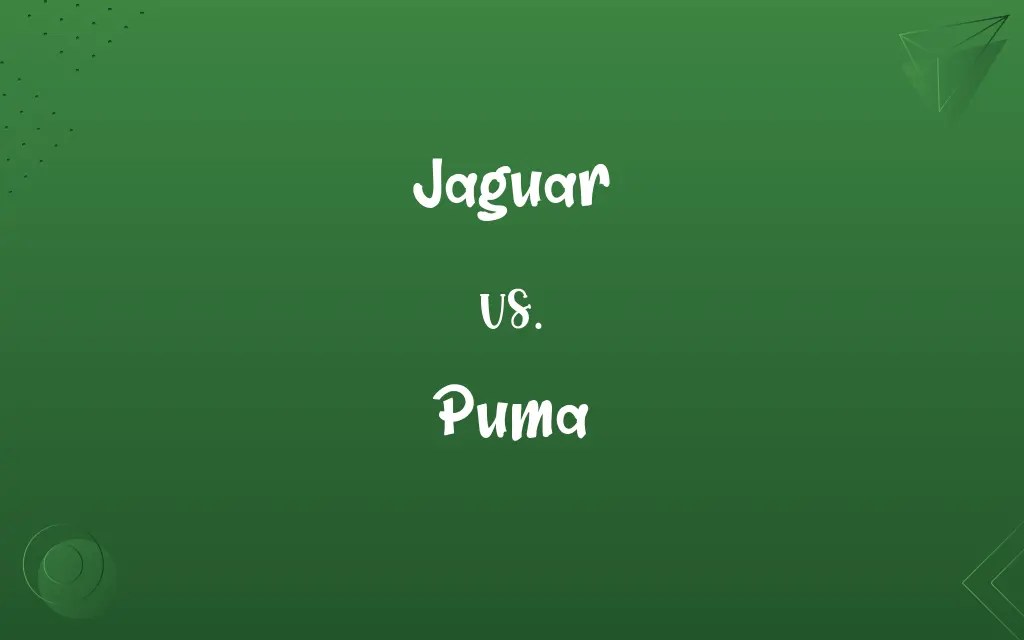 Jaguar vs. Puma Know the Difference