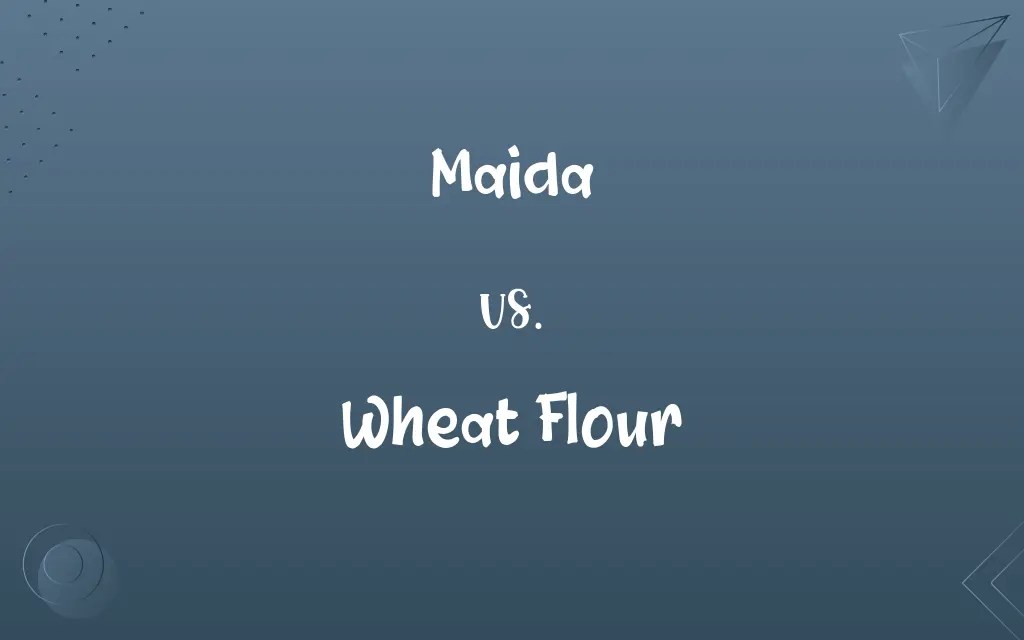 Maida vs. Wheat Flour Know the Difference
