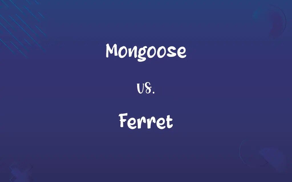Mongoose vs. Ferret Know the Difference