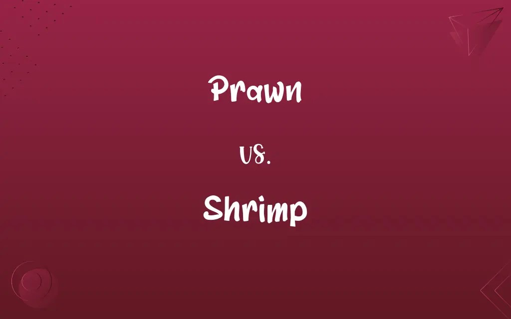 Prawn vs. Shrimp Know the Difference