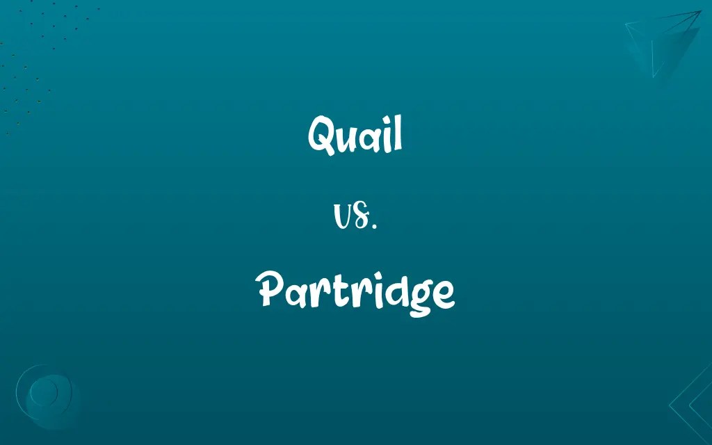 Quail vs. Partridge Know the Difference
