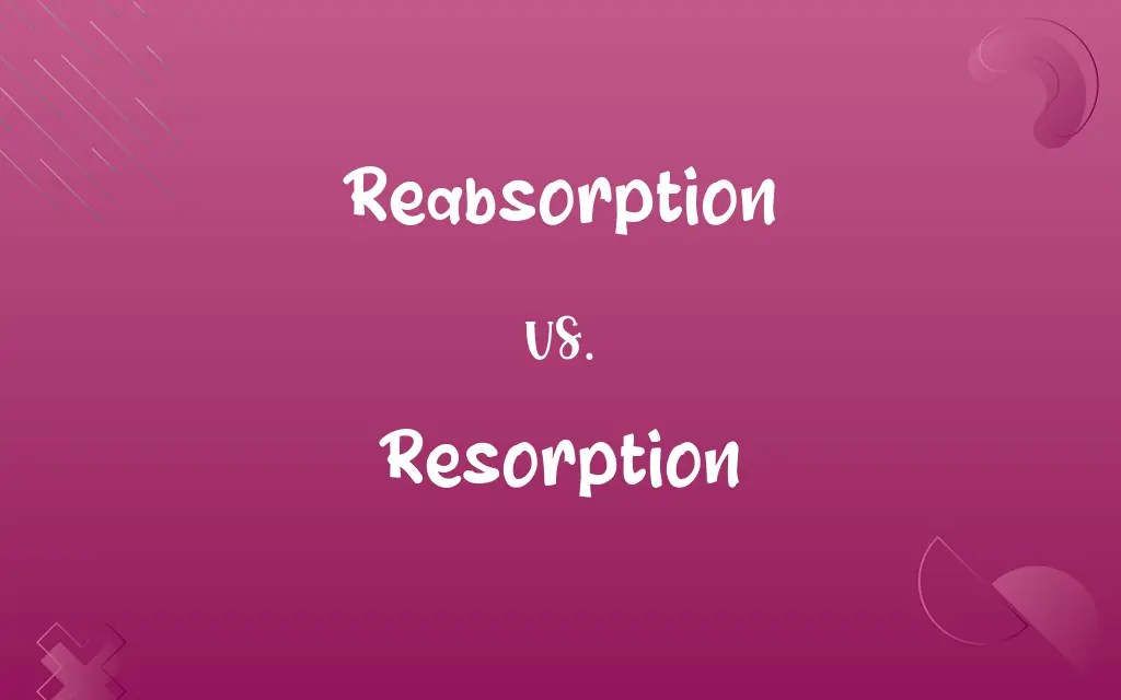 Reabsorption vs. Resorption Know the Difference