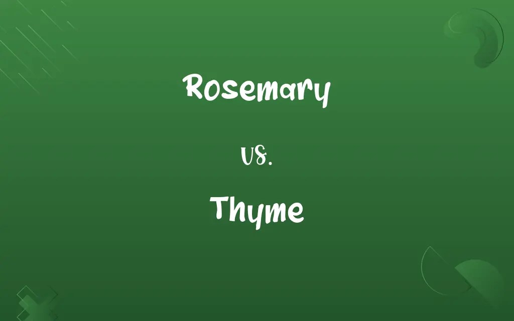 Rosemary vs. Thyme Know the Difference