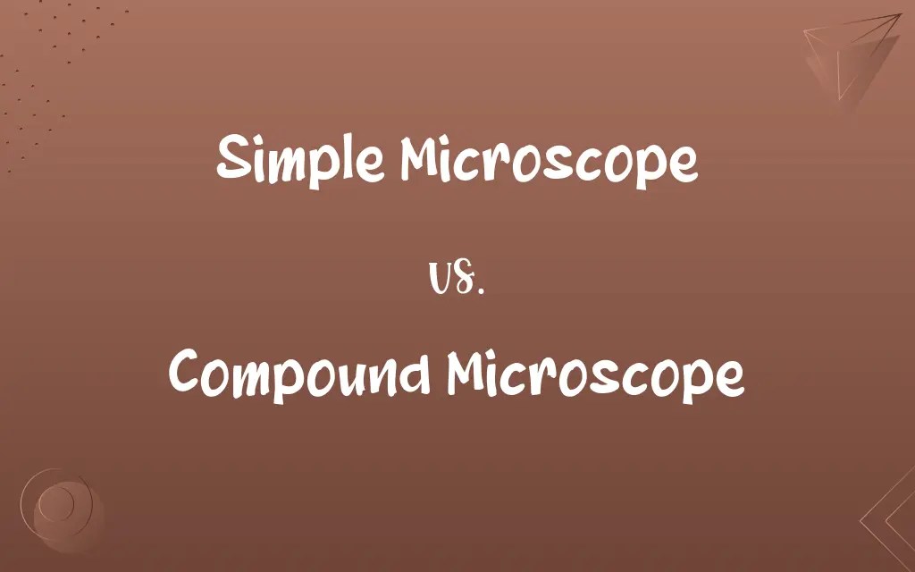 Simple Microscope vs. Compound Microscope Know the Difference