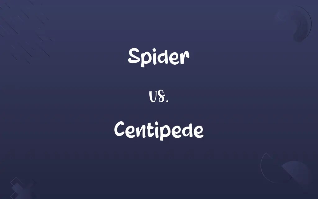 Spider vs. Centipede Know the Difference