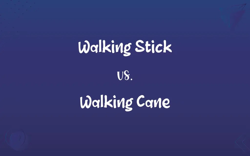 Walking Stick vs. Walking Cane Know the Difference