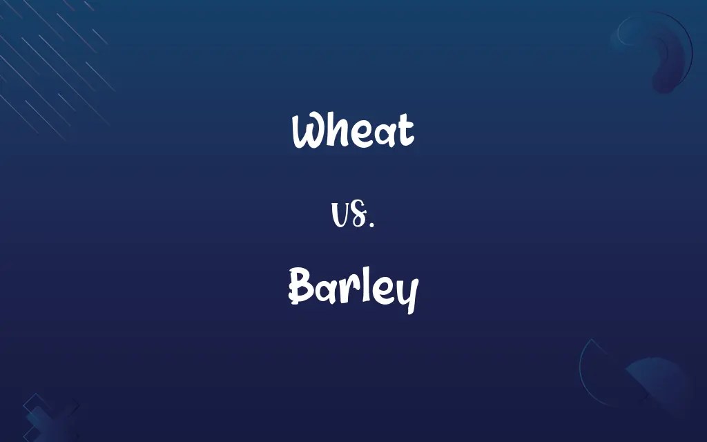 Wheat vs. Barley Difference Between