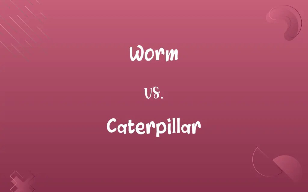 Worm vs. Caterpillar Know the Difference