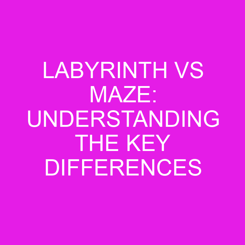 Labyrinth Vs Maze Understanding The Key Differences » Differencess