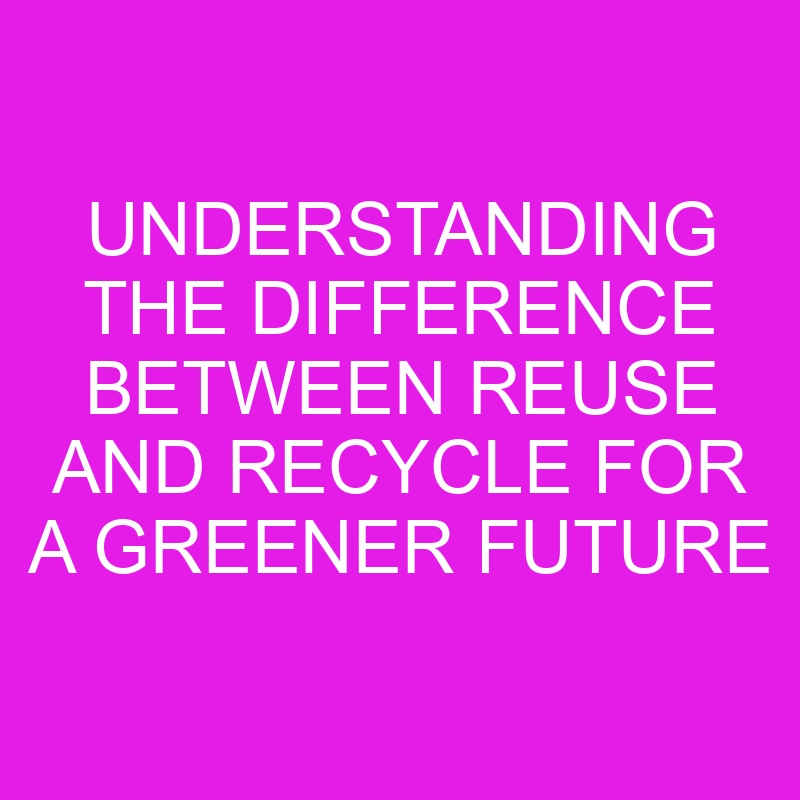 Understanding The Difference Between Reuse And Recycle For A Greener