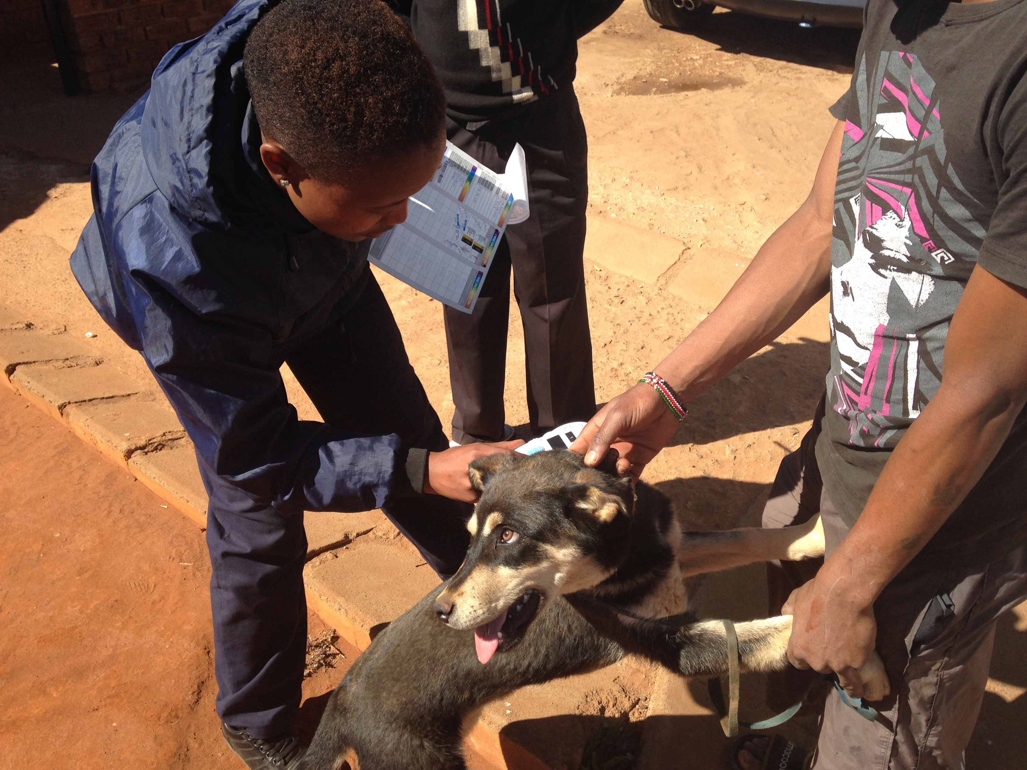 SAID Helping Animals and Humans