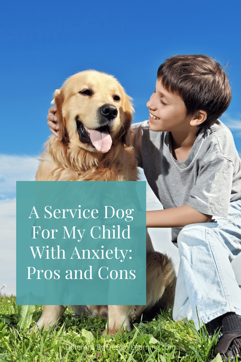 A Service Dog For Child With Anxiety Pros and Cons Different By