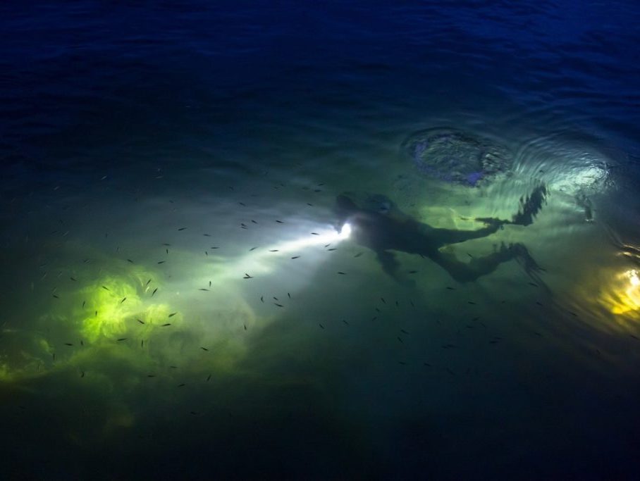 Night Diving how to succeed