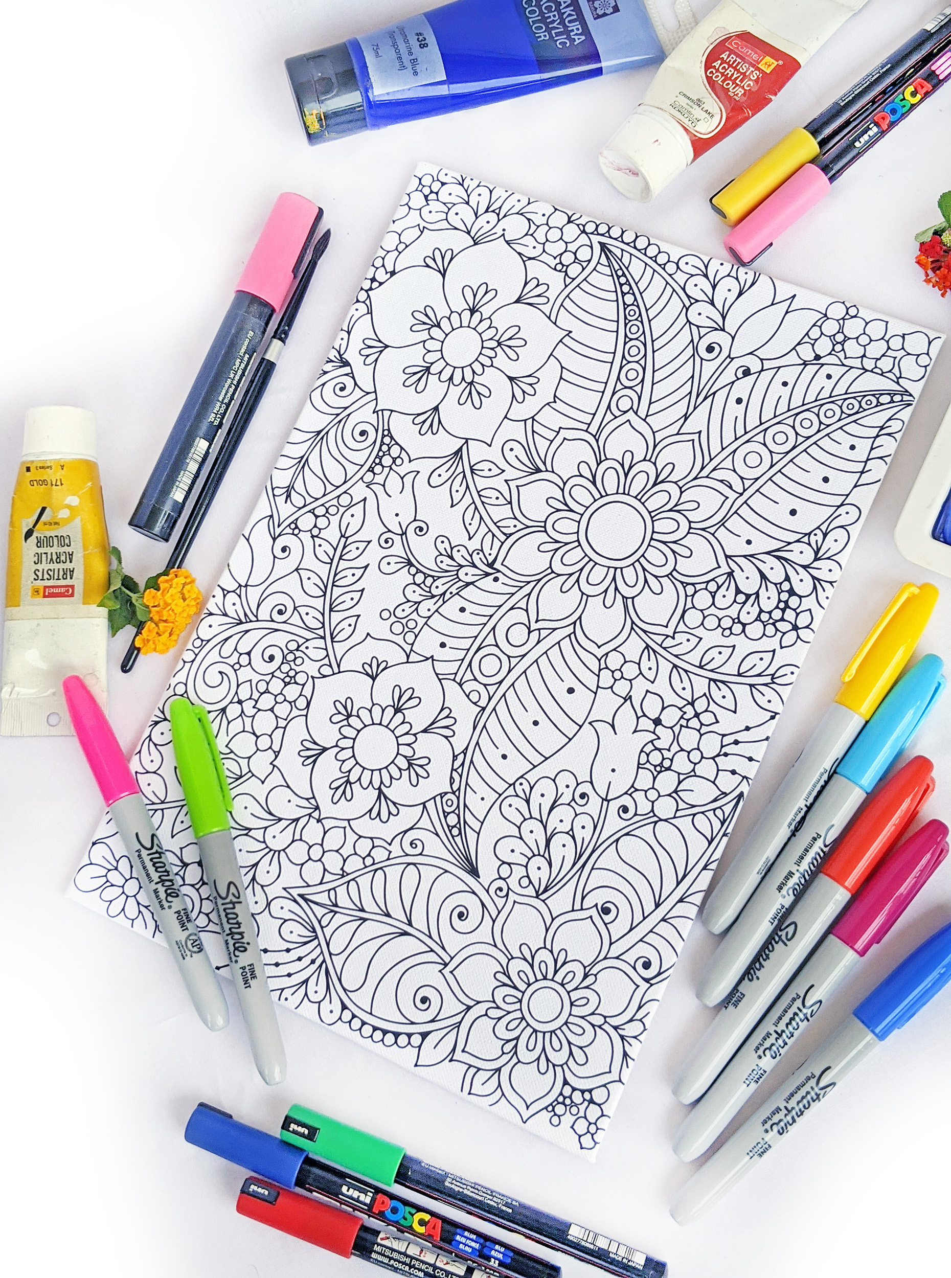Forest Adult Coloring Canvas Different Strokes Arts