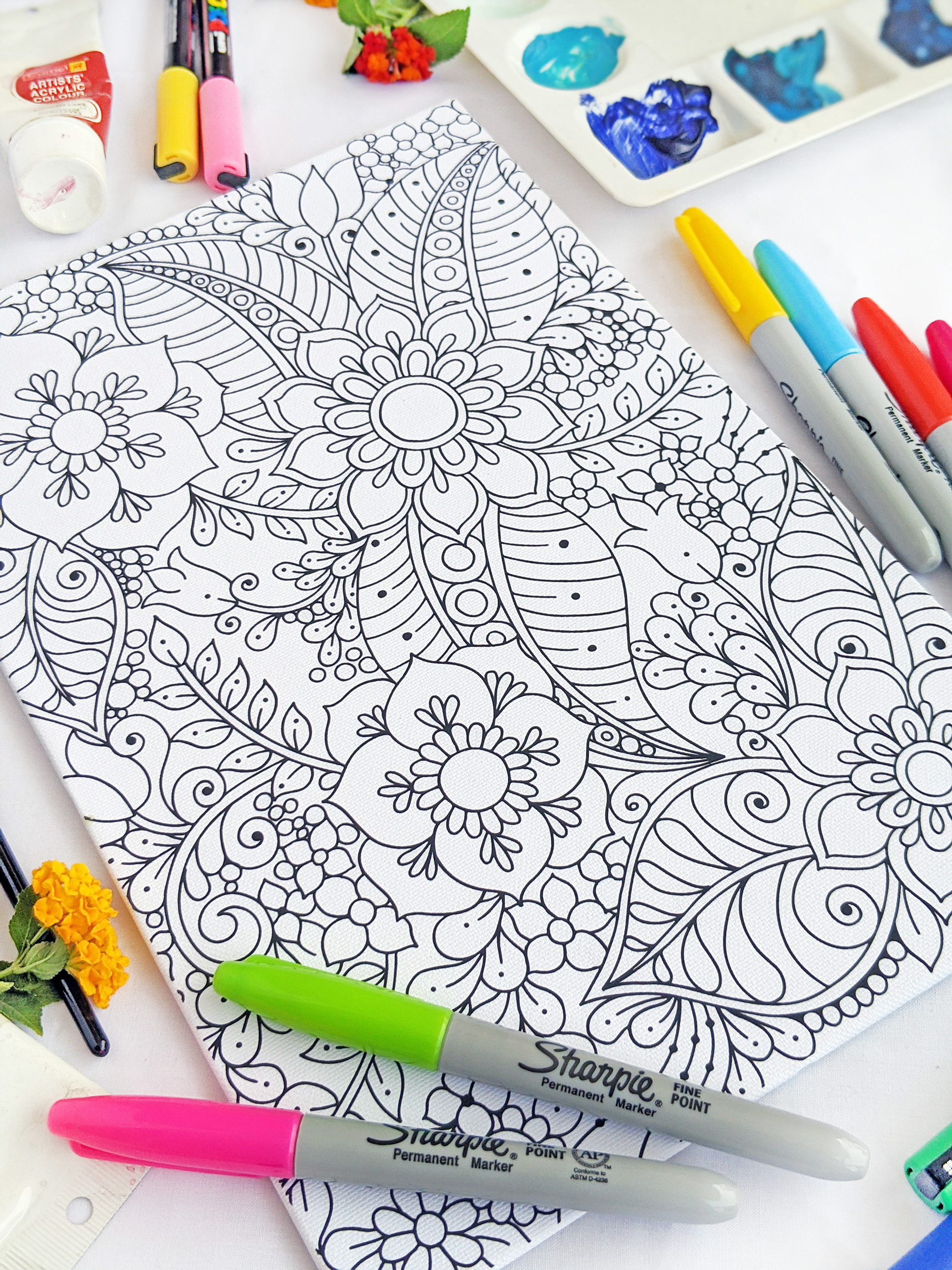 Forest Adult Coloring Canvas Different Strokes Arts