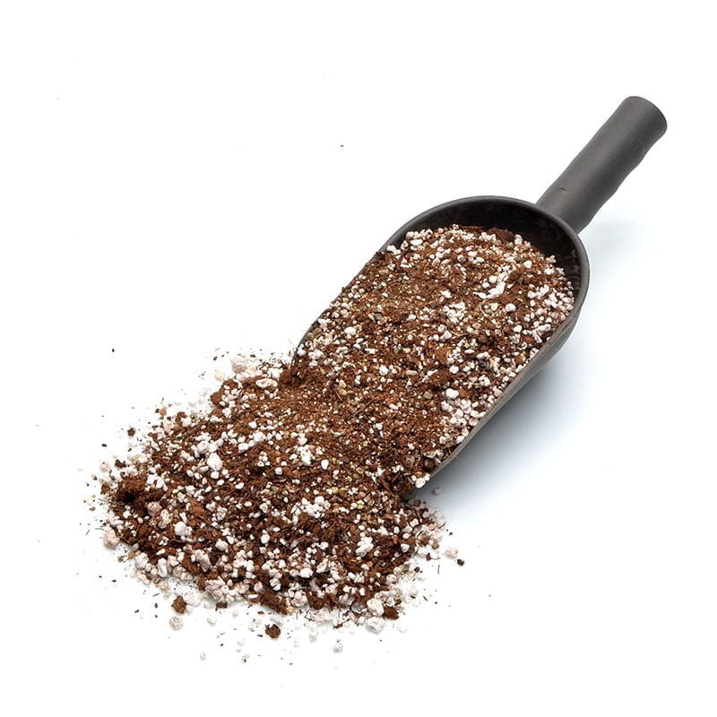 Blond peat of Sphagnum moss & perlite mix (50/50) Diflora