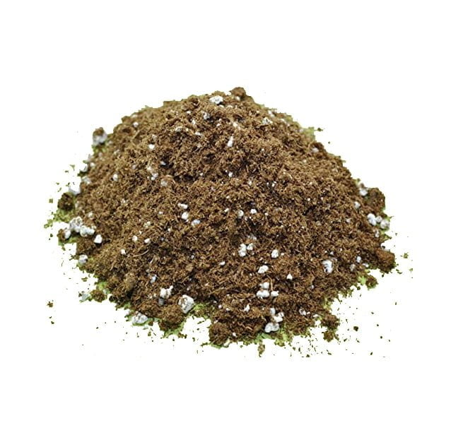 Blond peat of Sphagnum moss & perlite mix (50/50) Diflora