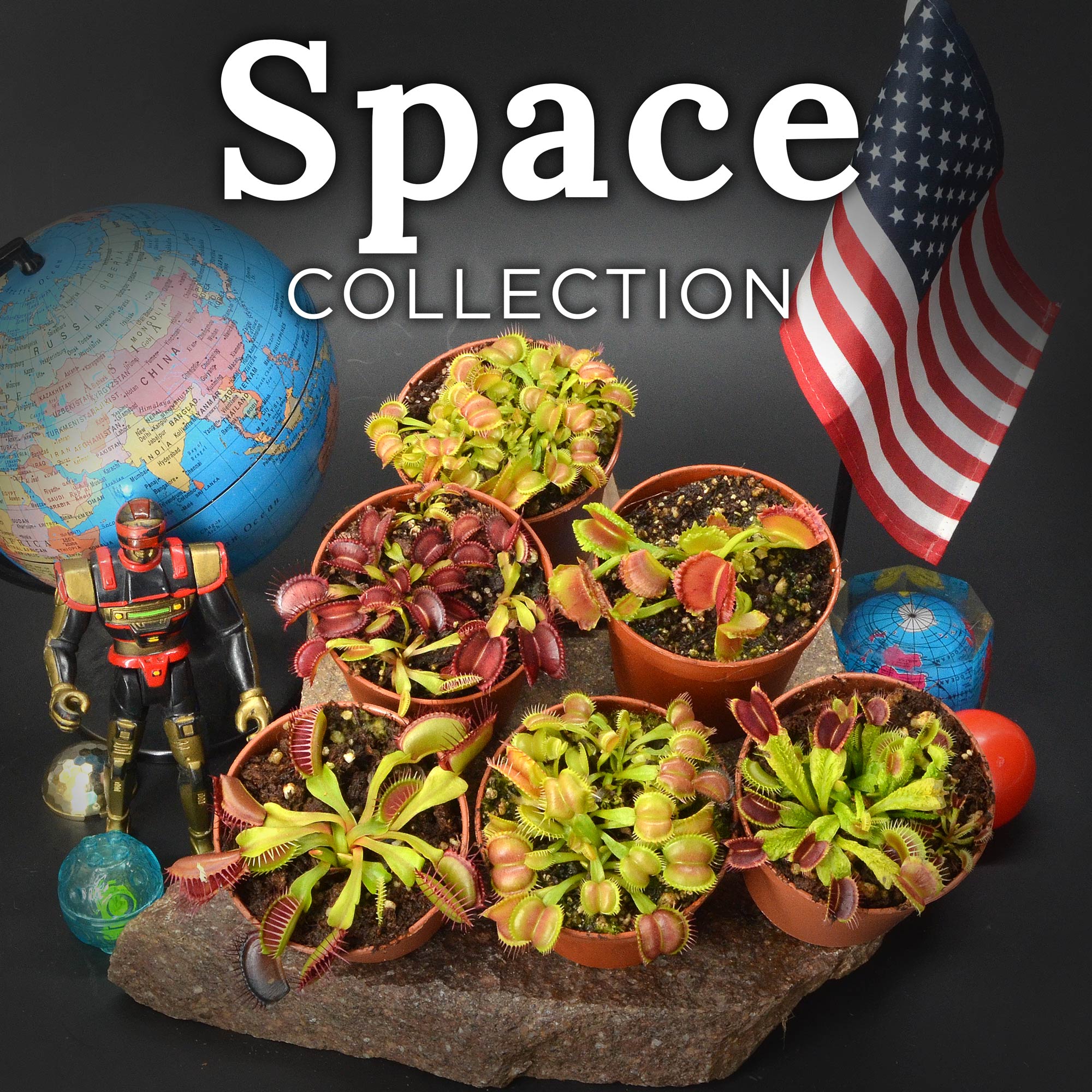 Space collection Diflora