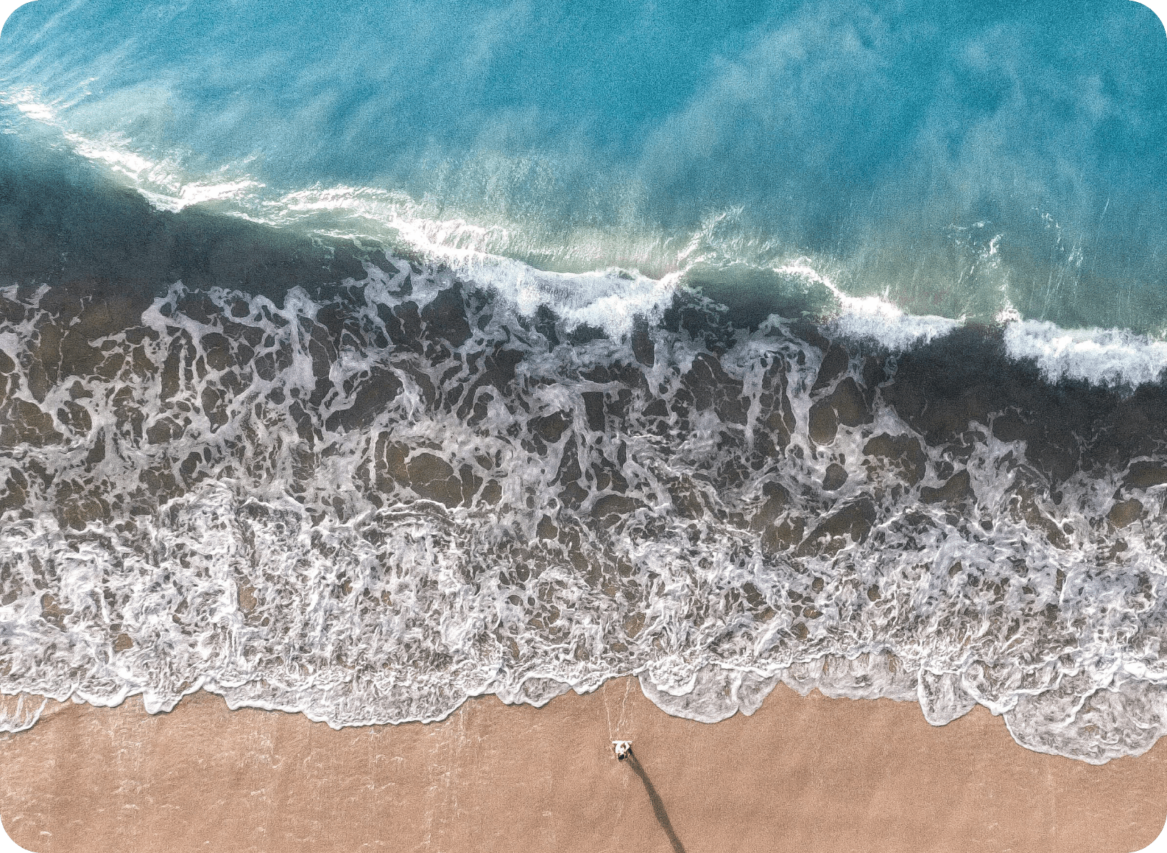 How to Choose the Best Beach Umbrella for Windy Conditions Diggit