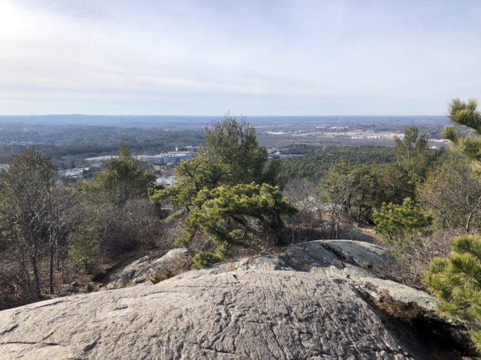 REVISITING GREAT BLUE HILL Dig Bos (19992003)