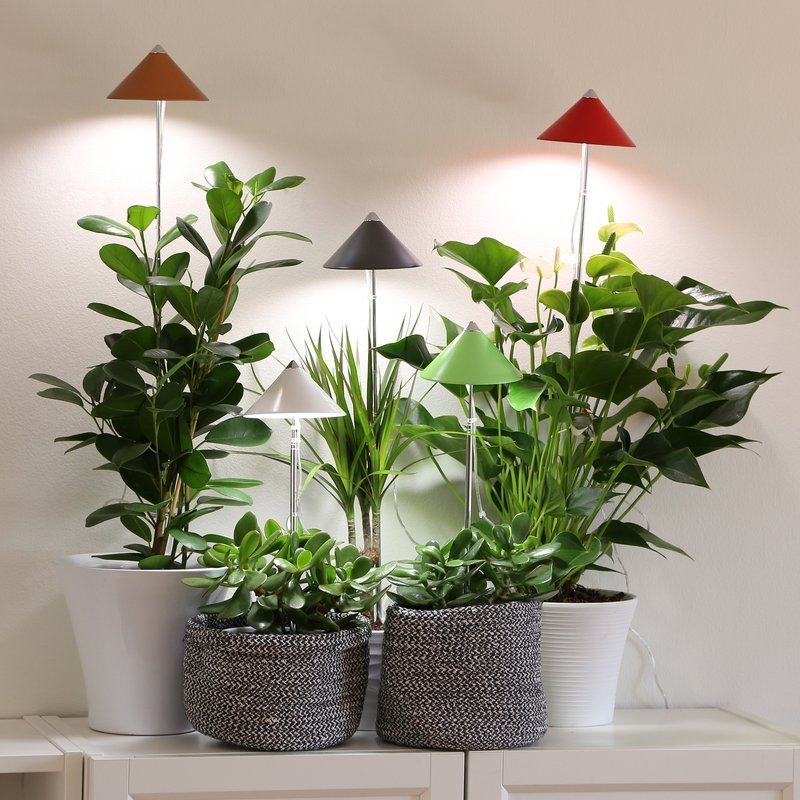 Lámpara para plantas Sunlite Blanco Digebis