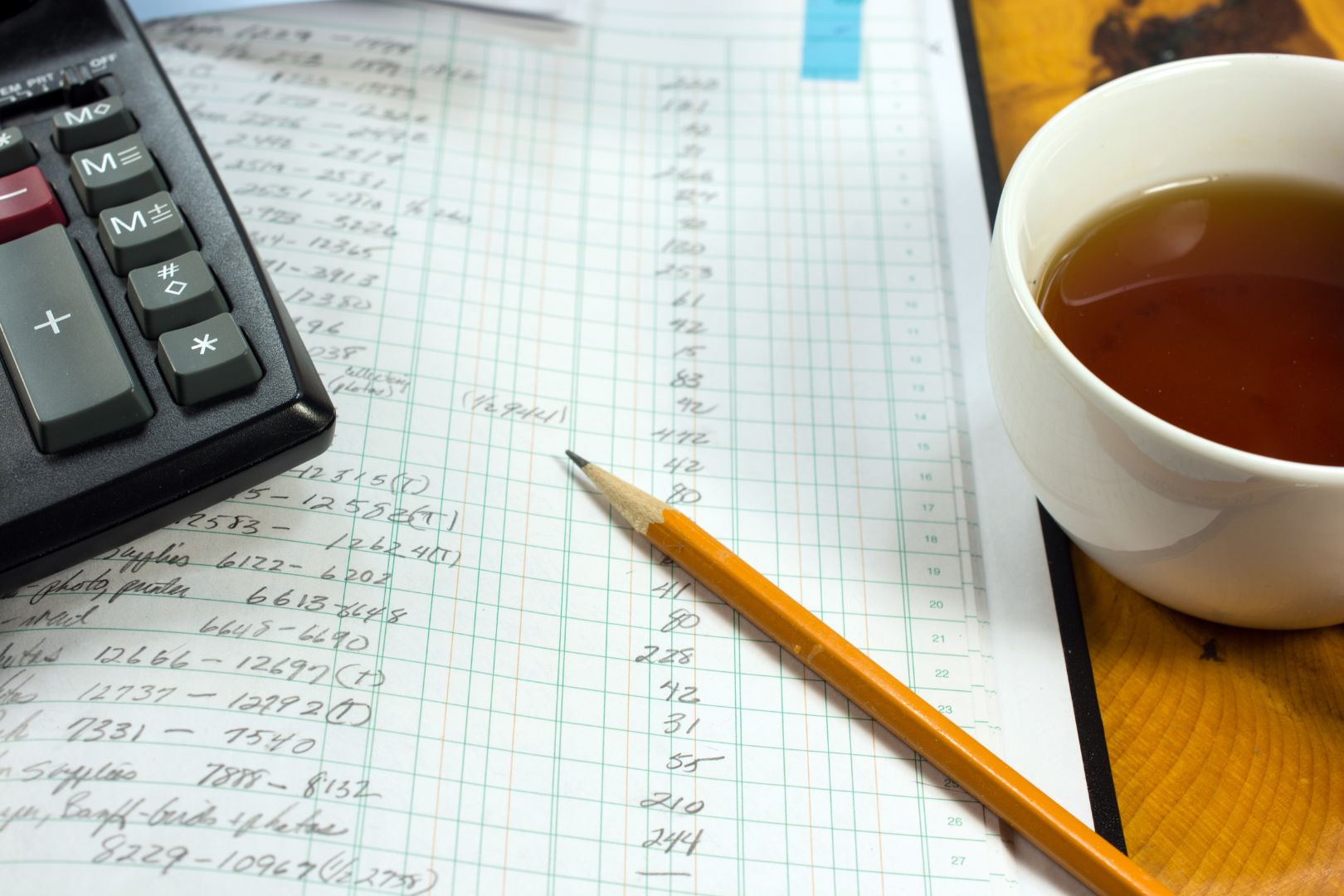 What Is a Ledger Book in Accounting? Uses, Types, and Categories