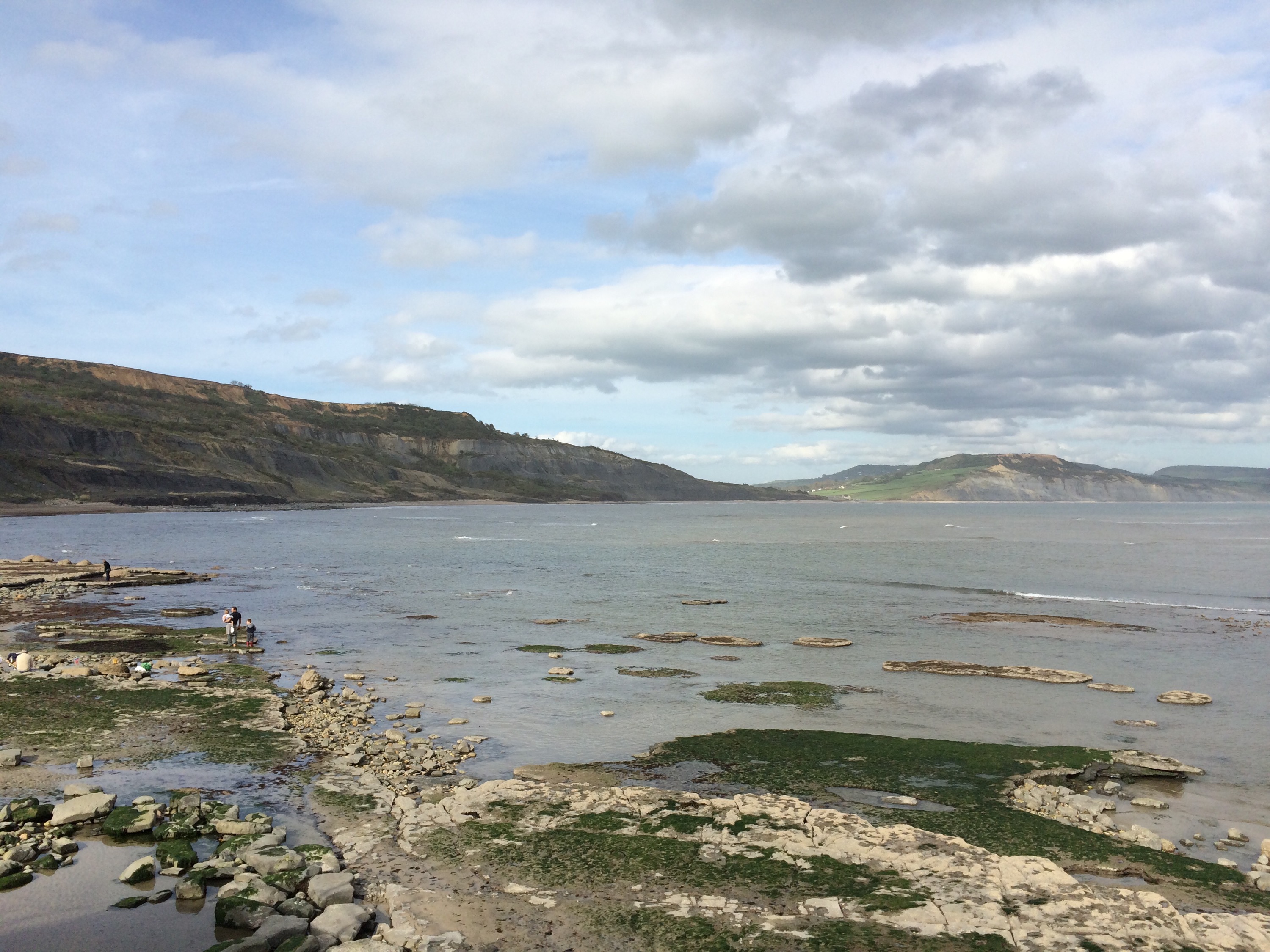 Lyme Regis digestivebiscuits