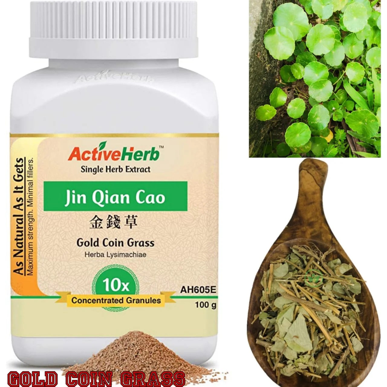 Exploring the Gold Coin Grass Benefits A Golden Opportunity for Health