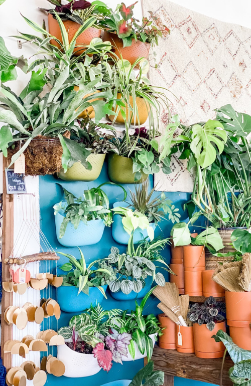 Eco Wall Planter Dig Gardens