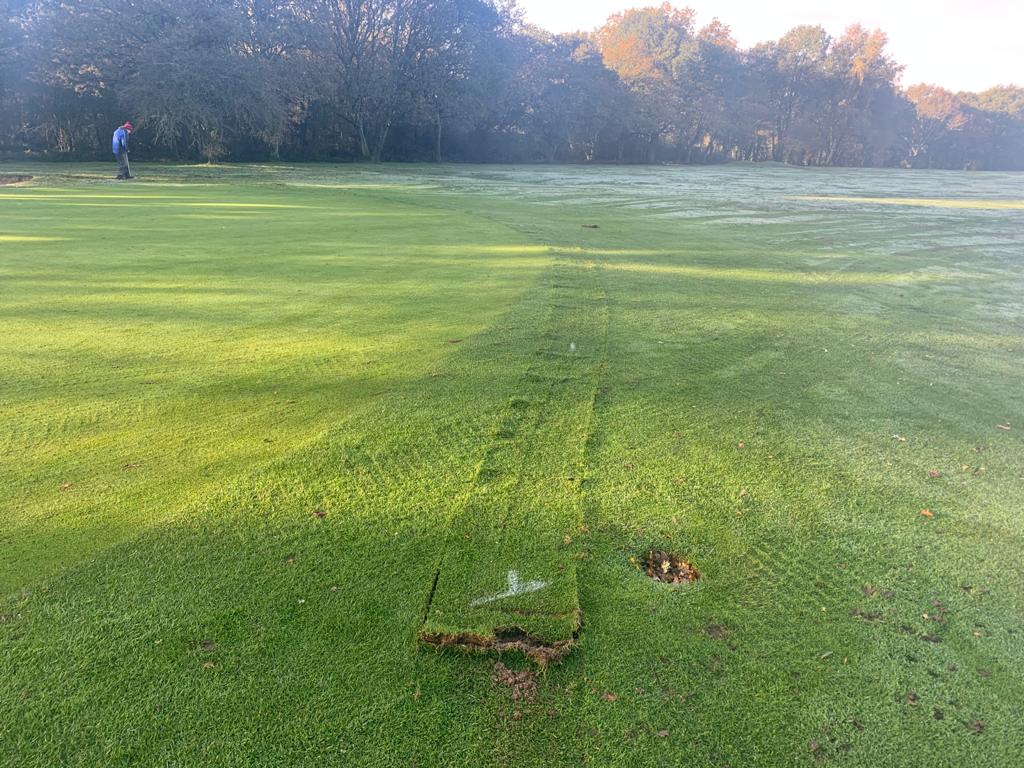 Digger Dave Mini Digger Hire with Driver in Surrey, Hampshire, Berkshire