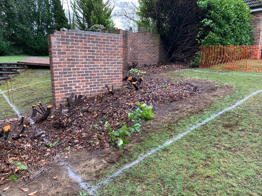 Digger Dave Mini Digger Hire with Driver in Surrey, Hampshire, Berkshire