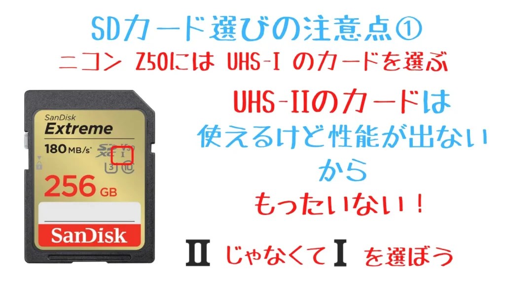 ニコンZ50で使うおすすめSDカード3選【初心者向け】